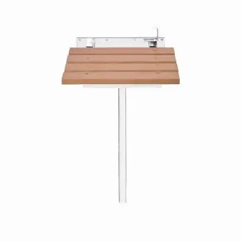 Shower Seat